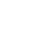Site identification & due diligence icon