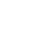 Option to own icon